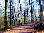 wandern in Deutschland