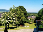 Pension am Vogelsang