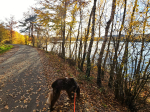 Ferienwohnungen Schwarzhof Bostalsee