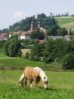 Tipps zum Wandern und Übernachten